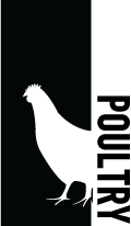 Poultry